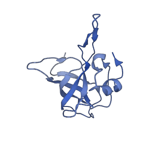 12937_7oj0_j_v1-1
Cryo-EM structure of 70S ribosome stalled with TnaC peptide and RF2