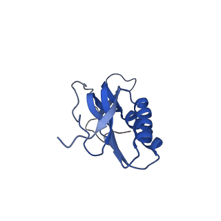 12937_7oj0_l_v1-1
Cryo-EM structure of 70S ribosome stalled with TnaC peptide and RF2