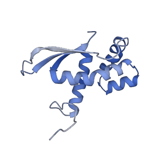 12937_7oj0_m_v1-1
Cryo-EM structure of 70S ribosome stalled with TnaC peptide and RF2