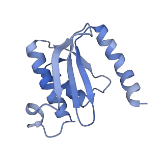 12937_7oj0_n_v1-1
Cryo-EM structure of 70S ribosome stalled with TnaC peptide and RF2