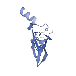 12937_7oj0_o_v1-1
Cryo-EM structure of 70S ribosome stalled with TnaC peptide and RF2