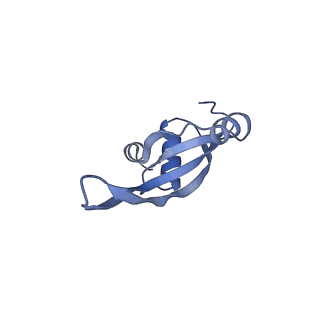 12937_7oj0_s_v1-1
Cryo-EM structure of 70S ribosome stalled with TnaC peptide and RF2