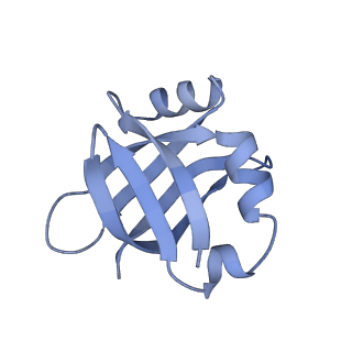 12937_7oj0_u_v1-1
Cryo-EM structure of 70S ribosome stalled with TnaC peptide and RF2