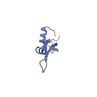 12937_7oj0_w_v1-1
Cryo-EM structure of 70S ribosome stalled with TnaC peptide and RF2