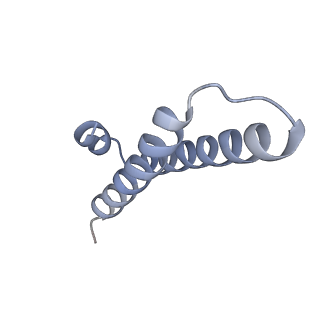 12937_7oj0_x_v1-1
Cryo-EM structure of 70S ribosome stalled with TnaC peptide and RF2