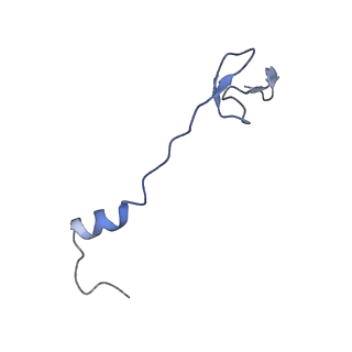 12937_7oj0_z_v1-1
Cryo-EM structure of 70S ribosome stalled with TnaC peptide and RF2