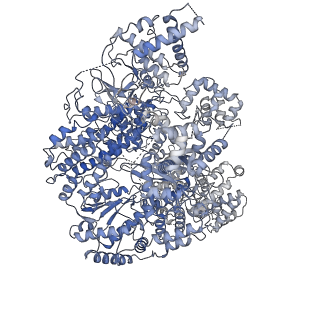 12954_7ojk_L_v1-1
Lassa virus L protein bound to the distal promoter duplex [DISTAL-PROMOTER]