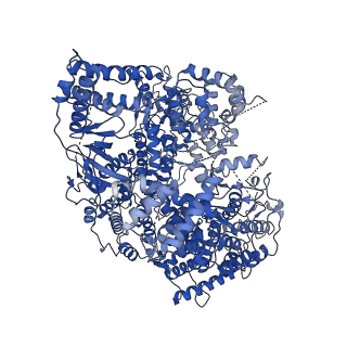 12955_7ojl_L_v1-1
Lassa virus L protein in a pre-initiation conformation [PREINITIATION]