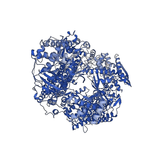 12956_7ojn_L_v1-1
Lassa virus L protein in an elongation conformation [ELONGATION]