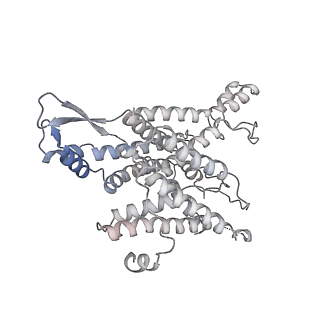 16902_8oj0_1_v1-2
60S ribosomal subunit bound to the E3-UFM1 complex - state 2 (native)