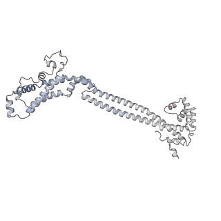 16902_8oj0_B_v1-2
60S ribosomal subunit bound to the E3-UFM1 complex - state 2 (native)