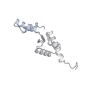 16902_8oj0_C_v1-2
60S ribosomal subunit bound to the E3-UFM1 complex - state 2 (native)
