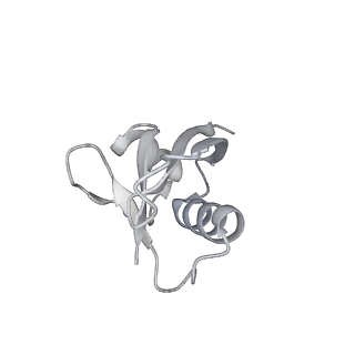 16902_8oj0_D_v1-2
60S ribosomal subunit bound to the E3-UFM1 complex - state 2 (native)