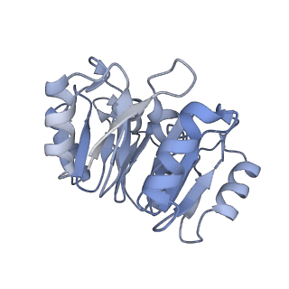 16902_8oj0_K_v1-2
60S ribosomal subunit bound to the E3-UFM1 complex - state 2 (native)