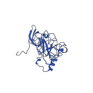 16902_8oj0_LA_v1-2
60S ribosomal subunit bound to the E3-UFM1 complex - state 2 (native)