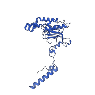 16902_8oj0_LD_v1-2
60S ribosomal subunit bound to the E3-UFM1 complex - state 2 (native)