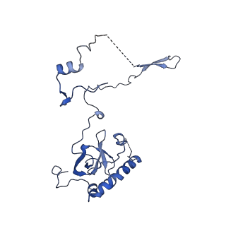 16902_8oj0_LE_v1-2
60S ribosomal subunit bound to the E3-UFM1 complex - state 2 (native)