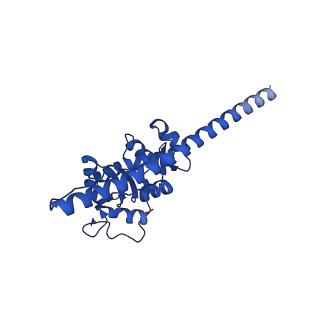 16902_8oj0_LF_v1-2
60S ribosomal subunit bound to the E3-UFM1 complex - state 2 (native)