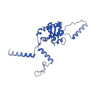 16902_8oj0_LG_v1-2
60S ribosomal subunit bound to the E3-UFM1 complex - state 2 (native)