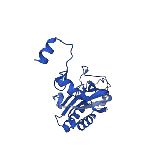 16902_8oj0_LI_v1-2
60S ribosomal subunit bound to the E3-UFM1 complex - state 2 (native)