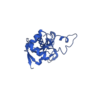 16902_8oj0_LJ_v1-2
60S ribosomal subunit bound to the E3-UFM1 complex - state 2 (native)