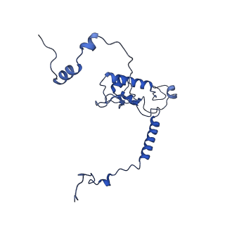 16902_8oj0_LL_v1-2
60S ribosomal subunit bound to the E3-UFM1 complex - state 2 (native)