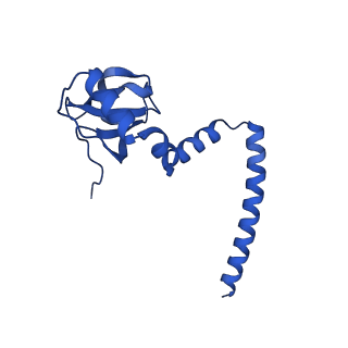 16902_8oj0_LM_v1-2
60S ribosomal subunit bound to the E3-UFM1 complex - state 2 (native)