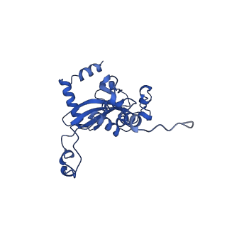 16902_8oj0_LN_v1-2
60S ribosomal subunit bound to the E3-UFM1 complex - state 2 (native)