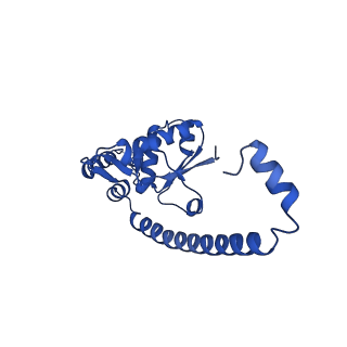 16902_8oj0_LO_v1-2
60S ribosomal subunit bound to the E3-UFM1 complex - state 2 (native)