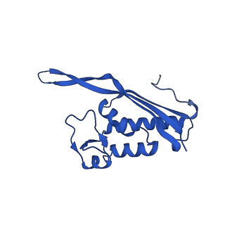 16902_8oj0_LP_v1-2
60S ribosomal subunit bound to the E3-UFM1 complex - state 2 (native)