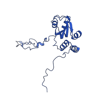 16902_8oj0_LQ_v1-2
60S ribosomal subunit bound to the E3-UFM1 complex - state 2 (native)