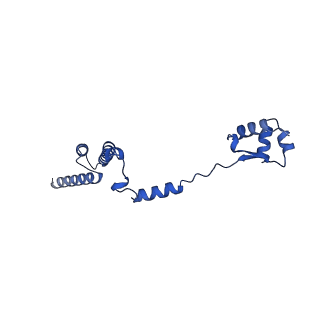 16902_8oj0_LR_v1-2
60S ribosomal subunit bound to the E3-UFM1 complex - state 2 (native)