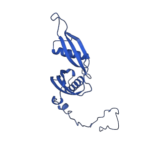 16902_8oj0_LS_v1-2
60S ribosomal subunit bound to the E3-UFM1 complex - state 2 (native)