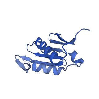 16902_8oj0_LU_v1-2
60S ribosomal subunit bound to the E3-UFM1 complex - state 2 (native)