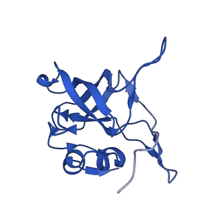 16902_8oj0_LV_v1-2
60S ribosomal subunit bound to the E3-UFM1 complex - state 2 (native)