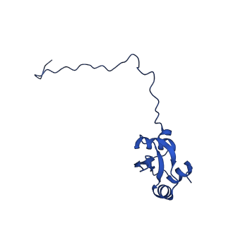 16902_8oj0_LX_v1-2
60S ribosomal subunit bound to the E3-UFM1 complex - state 2 (native)