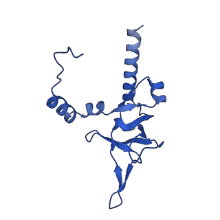16902_8oj0_LY_v1-2
60S ribosomal subunit bound to the E3-UFM1 complex - state 2 (native)