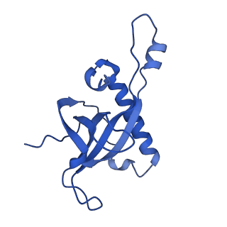 16902_8oj0_LZ_v1-2
60S ribosomal subunit bound to the E3-UFM1 complex - state 2 (native)