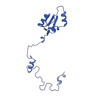 16902_8oj0_La_v1-2
60S ribosomal subunit bound to the E3-UFM1 complex - state 2 (native)