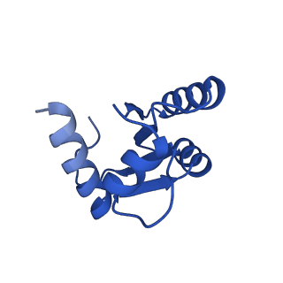 16902_8oj0_Lc_v1-2
60S ribosomal subunit bound to the E3-UFM1 complex - state 2 (native)