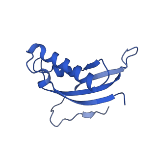 16902_8oj0_Ld_v1-2
60S ribosomal subunit bound to the E3-UFM1 complex - state 2 (native)