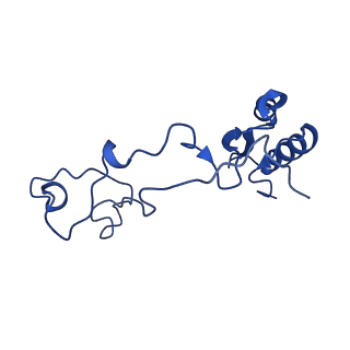 16902_8oj0_Le_v1-2
60S ribosomal subunit bound to the E3-UFM1 complex - state 2 (native)