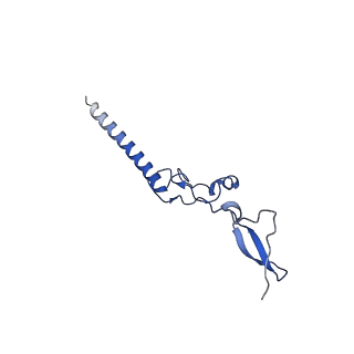 16902_8oj0_Lg_v1-2
60S ribosomal subunit bound to the E3-UFM1 complex - state 2 (native)