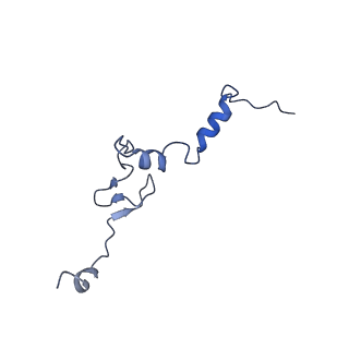 16902_8oj0_Lj_v1-2
60S ribosomal subunit bound to the E3-UFM1 complex - state 2 (native)