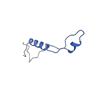 16902_8oj0_Ll_v1-2
60S ribosomal subunit bound to the E3-UFM1 complex - state 2 (native)
