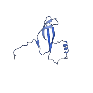 16902_8oj0_Lo_v1-2
60S ribosomal subunit bound to the E3-UFM1 complex - state 2 (native)