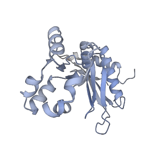 16902_8oj0_Lz_v1-2
60S ribosomal subunit bound to the E3-UFM1 complex - state 2 (native)