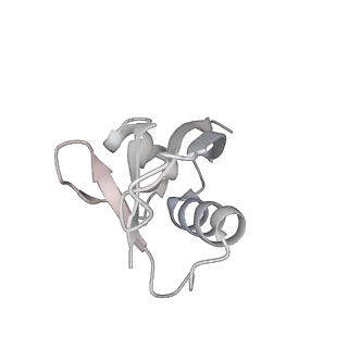 16905_8oj5_D_v1-2
60S ribosomal subunit bound to the E3-UFM1 complex - state 3 (in-vitro reconstitution)