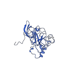 16905_8oj5_LA_v1-2
60S ribosomal subunit bound to the E3-UFM1 complex - state 3 (in-vitro reconstitution)