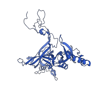 16905_8oj5_LB_v1-2
60S ribosomal subunit bound to the E3-UFM1 complex - state 3 (in-vitro reconstitution)